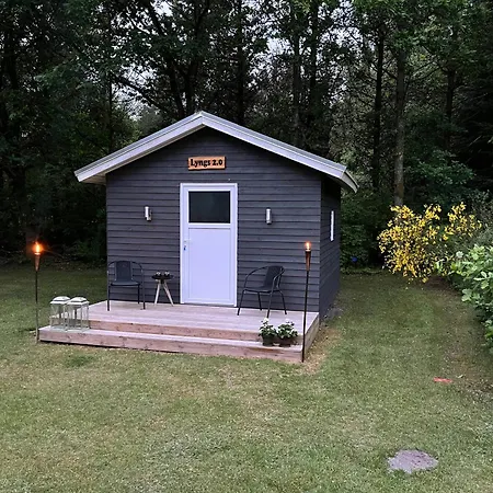 Fredfyldt Hjem Omgivet Af Marker Og Skov